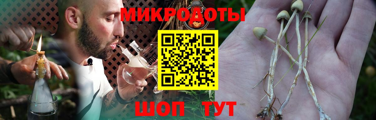 Галлюциногенные грибы мухоморы Арсеньев
