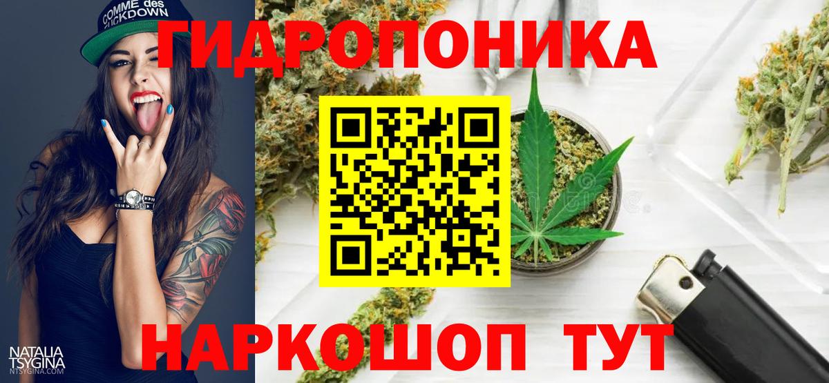 Арсеньев  Бошки Шишки планчик  Вход с VPN  Бошки Шишки SATIVA & INDICA 